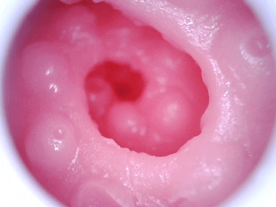 【杯友测评】GXP白丝壁女2代(软版)——肉褶与长肉脊的温和榨汁,从一代的闷骚女友变温柔妻子了