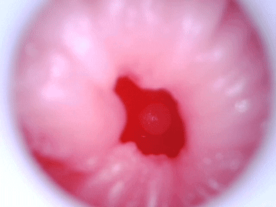 【杯友测评】GXP白丝壁女2代(软版)——肉褶与长肉脊的温和榨汁,从一代的闷骚女友变温柔妻子了