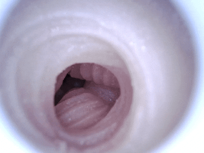 【杯友测评】GXP大吉樱子大半身(上半身)飞机杯——巨乳大半身!喜欢御姐大雷这块的有福了