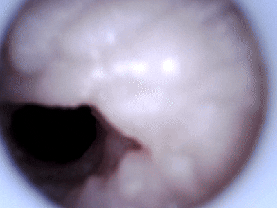 【杯友测评】GXP大吉樱子大半身(上半身)飞机杯——巨乳大半身!喜欢御姐大雷这块的有福了