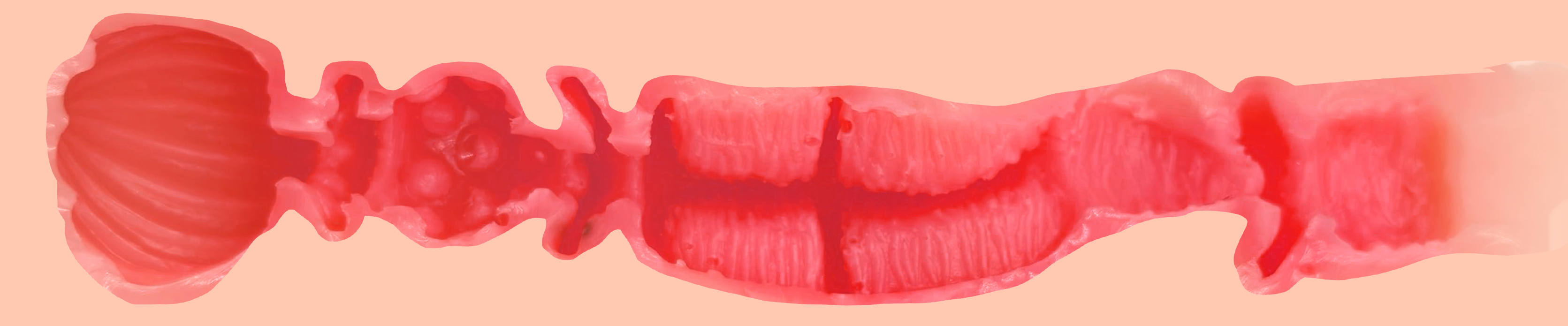 【杯友测评】GXP白丝壁女1代——老一辈榨汁姬特有的强悍，萌新杀手白丝1代