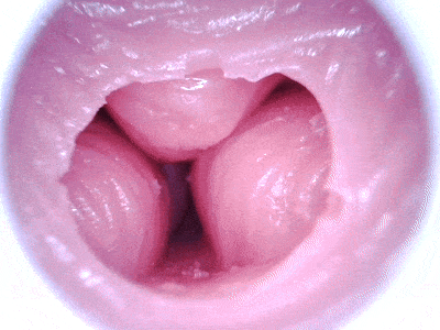 【杯友测评】GXP白丝壁女1代——老一辈榨汁姬特有的强悍，萌新杀手白丝1代