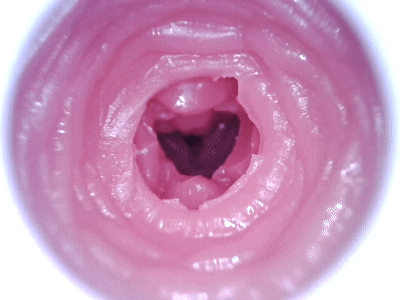 【杯友测评】GXP白丝壁女1代——老一辈榨汁姬特有的强悍，萌新杀手白丝1代