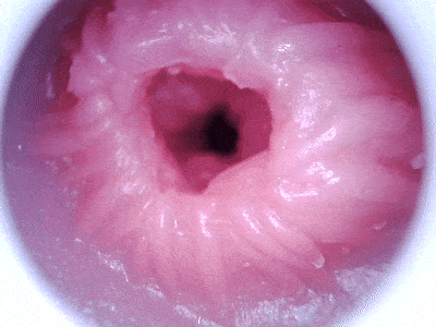 【杯友测评】GXP白丝壁女1代——老一辈榨汁姬特有的强悍，萌新杀手白丝1代