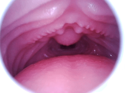 【杯友测评】DREAM EDGE蓝芽美月口杯——仿真外形，内部口腔完美还原人体