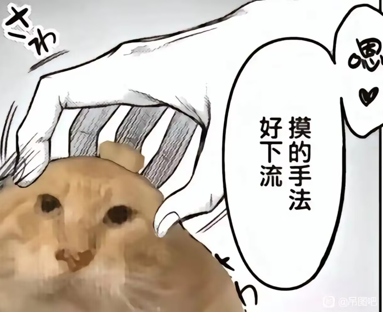 【群友测评】先生，请不要拒绝千夏好么