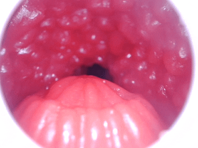 【神器社测评】GXP蛇娘电动口杯——国风蛇娘的激情舔舐，12档电机代替思考