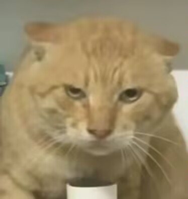 【神秘杂谈】关于测评想说的一些事情……