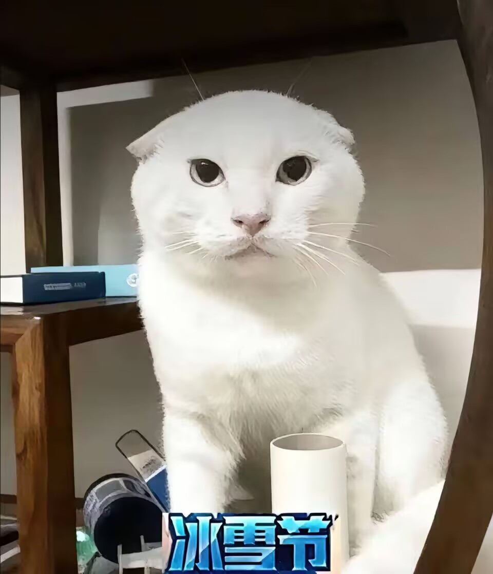 【神器社测评】GXP克洛叶一代——特色带滚珠胶体设计，第一下就捅到肉柱了耶