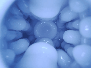 【杯友测评】GXP艾萝机娘——科技感拉满的飞机杯，可调节松紧的手动与强劲吮吸的电动