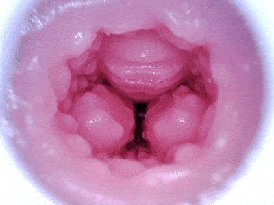 【杯友测评】GXP克洛叶二代——继承了一代带珠设计的二代魅魔