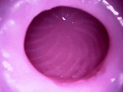 【神器社测评】GXP克洛叶一代——特色带滚珠胶体设计，第一下就捅到肉柱了耶