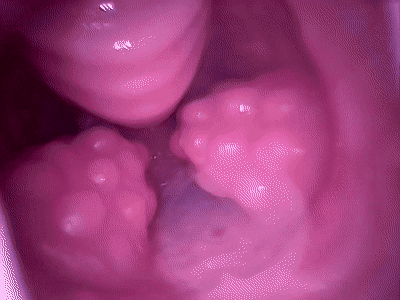 【神器社测评】GXP克洛叶一代——特色带滚珠胶体设计，第一下就捅到肉柱了耶