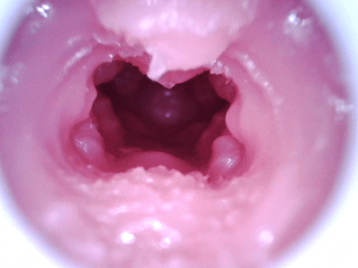 【杯友测评】DREAM EDGE蓝芽美月口杯——仿真外形，内部口腔完美还原人体