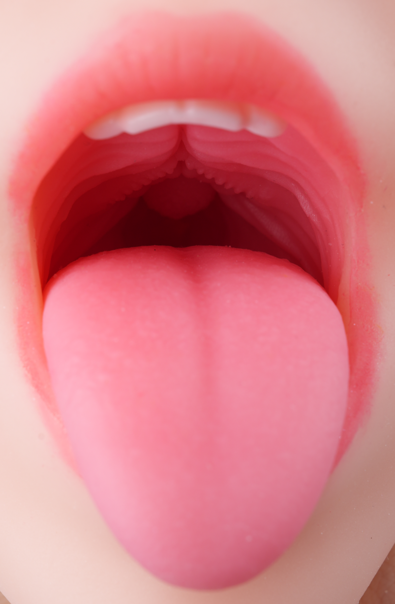 【杯友测评】DREAM EDGE蓝芽美月口杯——仿真外形，内部口腔完美还原人体