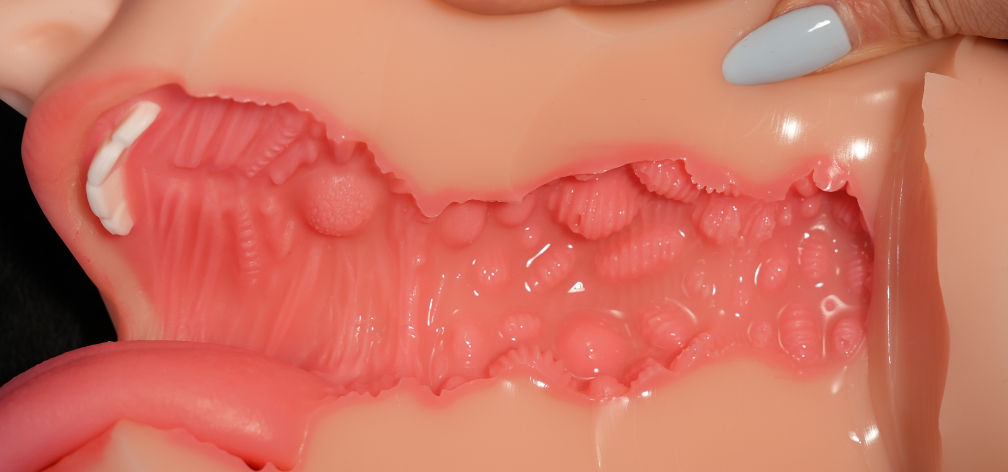 【杯友测评】DREAM EDGE蓝芽美月口杯——仿真外形，内部口腔完美还原人体