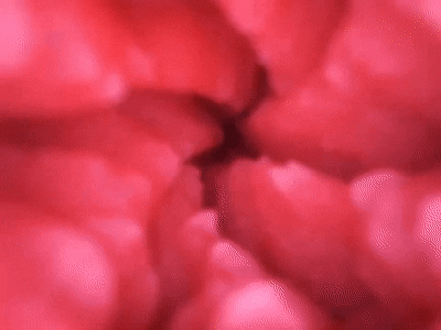 【神器社测评】LOVE FACTOR夜魅女王臀模——圆润的不行的大屁股，腔内黏膜大长条肉脊的真实伺候