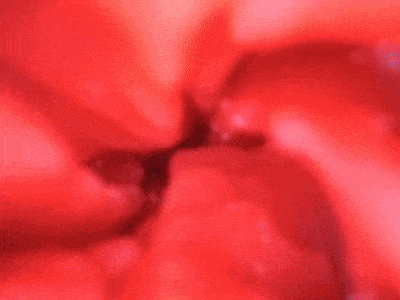 【神器社测评】LOVE FACTOR夜魅女王臀模——圆润的不行的大屁股，腔内黏膜大长条肉脊的真实伺候