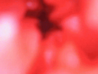 【神器社测评】LOVE FACTOR夜魅女王臀模——圆润的不行的大屁股，腔内黏膜大长条肉脊的真实伺候