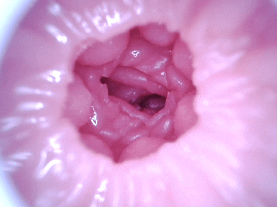 【杯友测评】GXP幻梦生腔——看着像大半身的“大”飞机杯