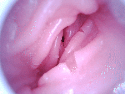 【杯友测评】GXP幻梦生腔——看着像大半身的“大”飞机杯