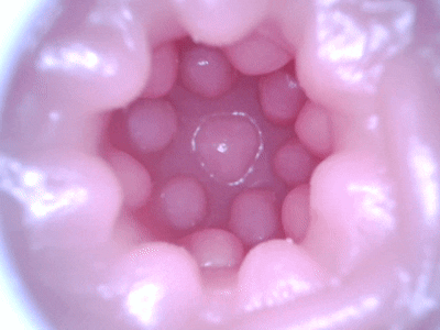 【杯友测评】GXP幻梦生腔——看着像大半身的“大”飞机杯