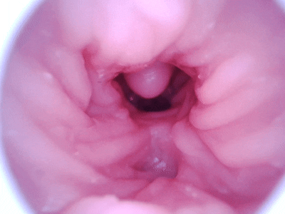 【杯友测评】GXP幻梦生腔——看着像大半身的“大”飞机杯