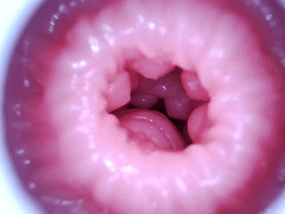 【杯友测评】GXP幻梦生腔——看着像大半身的“大”飞机杯