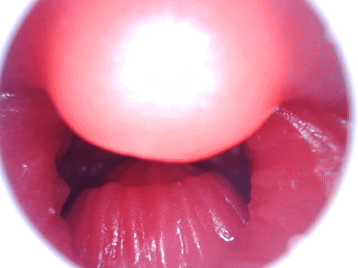 【神器社测评】GXP蛇娘电动口杯——国风蛇娘的激情舔舐，12档电机代替思考