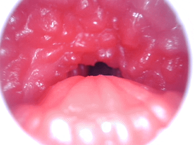 【神器社测评】GXP蛇娘电动口杯——国风蛇娘的激情舔舐，12档电机代替思考