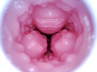 【杯友测评】GXP克洛叶二代——继承了一代带珠设计的二代魅魔