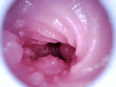 【杯友测评】GXP克洛叶二代——继承了一代带珠设计的二代魅魔