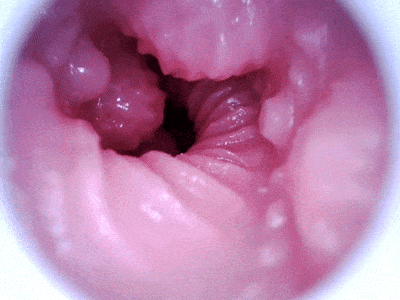 【杯友测评】GXP克洛叶二代——继承了一代带珠设计的二代魅魔