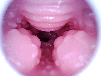 【杯友测评】GXP克洛叶二代——继承了一代带珠设计的二代魅魔