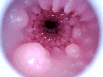 【杯友测评】GXP克洛叶二代——继承了一代带珠设计的二代魅魔