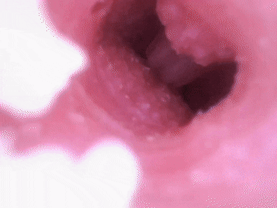 【神器社测评】LOVE FACTOR风铃御使——带盆骨的臀模,屁股还挺有“打击感”的