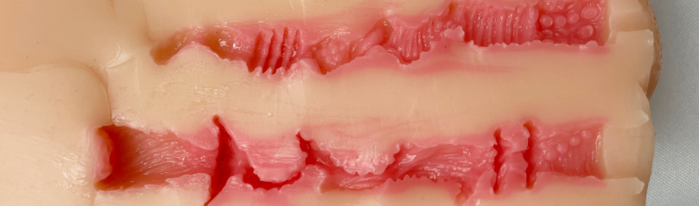 【神器社测评】GXP狐狸娘双通道杯——虽然刺激度算不上系列之最，但数值相当均衡