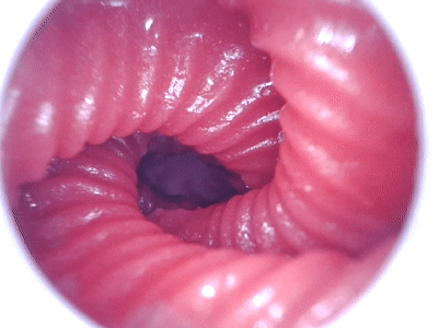 【神器社测评】AGI巨蟹座——轻重量小臀，刺激和温和并存