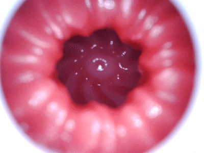 【神器社测评】AGI巨蟹座——轻重量小臀，刺激和温和并存