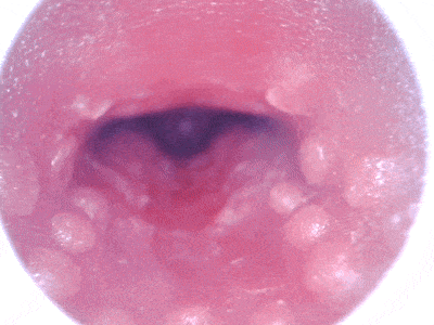 【神器社测评】AGI巨蟹座——轻重量小臀，刺激和温和并存