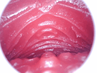 【神器社测评】AGI巨蟹座——轻重量小臀，刺激和温和并存