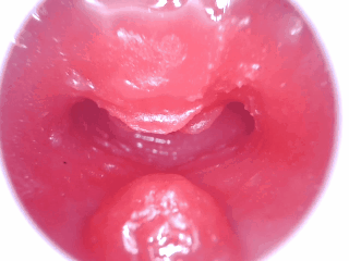 【神器社测评】AGI巨蟹座——轻重量小臀，刺激和温和并存