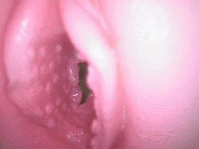 【神器社测评】KAGUYANO番茄酱（温泉）——“年糕”手感的硅胶杯，离登神真的只差半步！