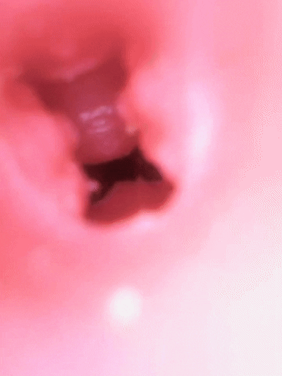 【神器社测评】GXP狐狸娘双通道杯——虽然刺激度算不上系列之最，但数值相当均衡