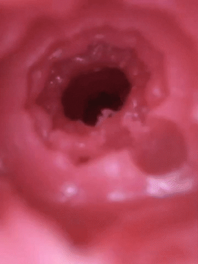 【神器社测评】GXP狐狸娘双通道杯——虽然刺激度算不上系列之最，但数值相当均衡