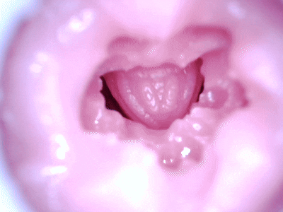 【神器社测评】GXP狐狸娘双通道杯——虽然刺激度算不上系列之最，但数值相当均衡