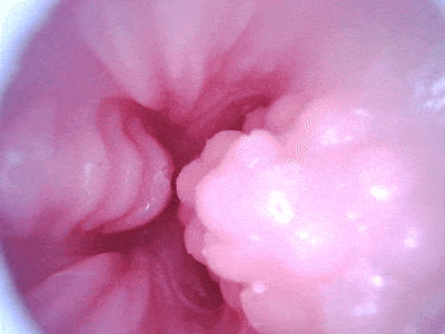 【神器社测评】GXP狐狸娘双通道杯——虽然刺激度算不上系列之最，但数值相当均衡