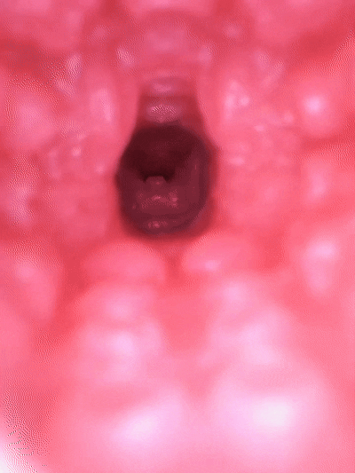 【神器社测评】GXP狐狸娘双通道杯——虽然刺激度算不上系列之最，但数值相当均衡