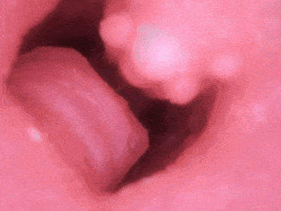 【神器社测评】LOVE FACTOR风铃御使——带盆骨的臀模,屁股还挺有“打击感”的