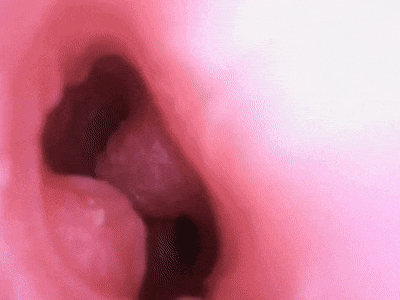 【神器社测评】LOVE FACTOR风铃御使——带盆骨的臀模,屁股还挺有“打击感”的